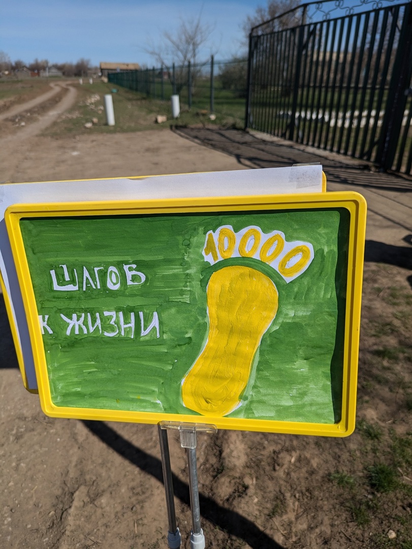 «10000 шагов к жизни»,.