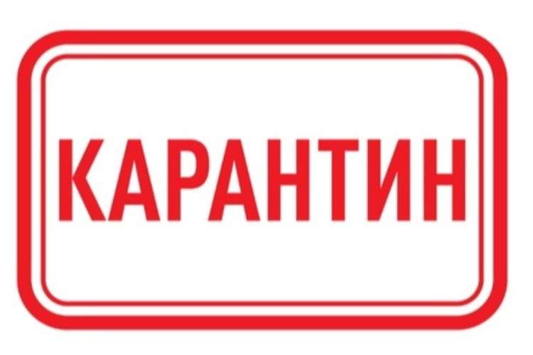 Карантин!.